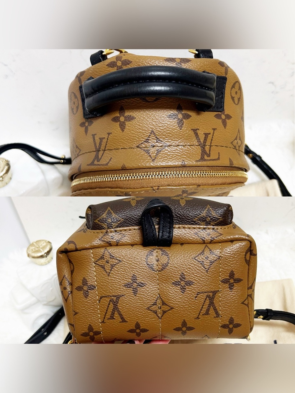 Authentic Louis Vuitton Reverse Monogram Palm Springs Mini Backpack / Bag - Picture 5 of 16